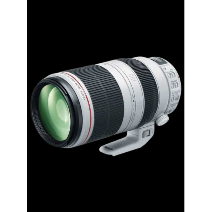 Canon EF 100-400mm f4.5-5.6L IS II USM