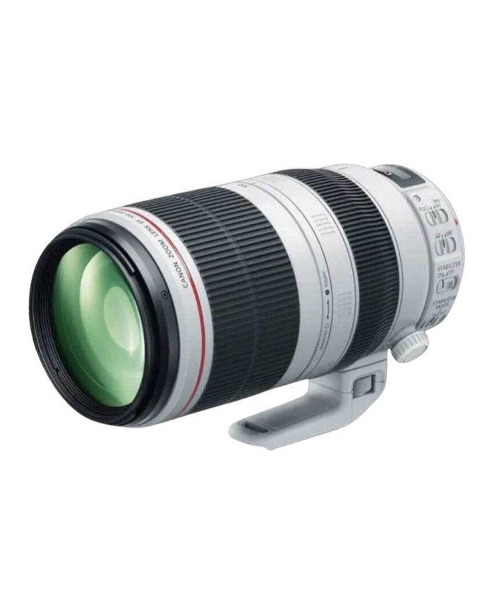Canon EF 100-400mm f4.5-5.6L IS II USM