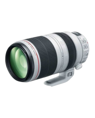 Canon EF 100-400mm f4.5-5.6L IS II USM