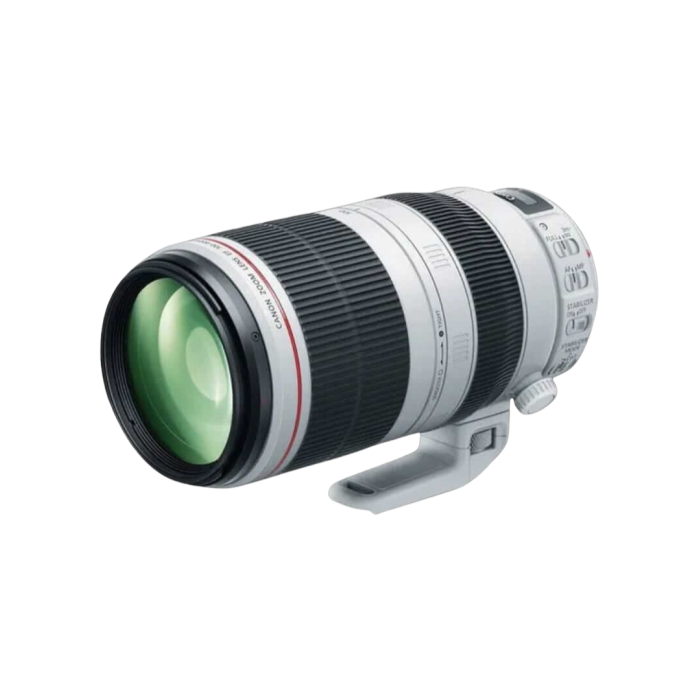 Canon EF 100-400mm f4.5-5.6L IS II USM
