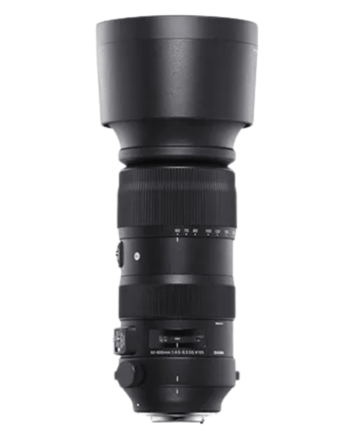 OFERTA SIGMA 60-600mm f4.5-6.3 DG OS HSM SPORTS NIKON FX