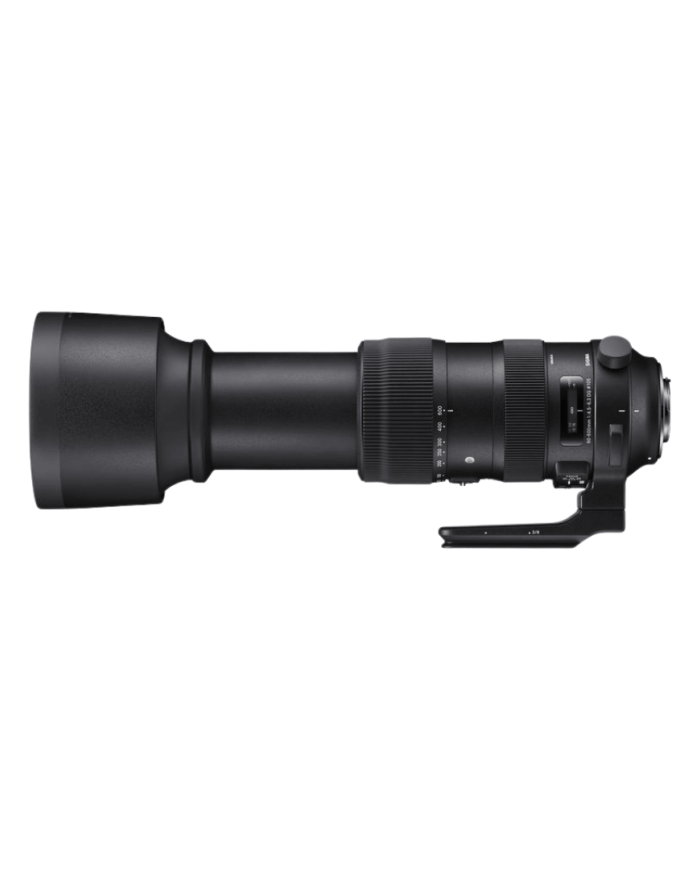 El MEJOR PRECIO SIGMA 60-600mm f4.5-6.3 DG OS HSM SPORTS CANON EF