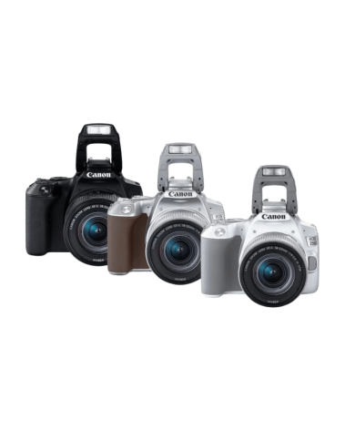 CANON EOS 250D+18-55 IS STM (NEGRA)