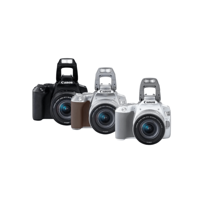 CANON EOS 250D+18-55 IS STM (NEGRA)