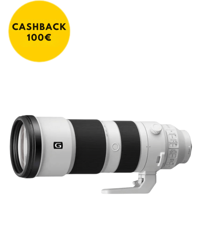 Sony FE 200-600mm Zoom Lens | FotoCineColor