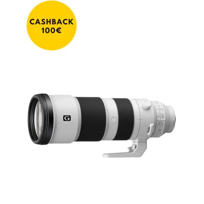 Sony FE 200-600mm Zoom Lens | FotoCineColor