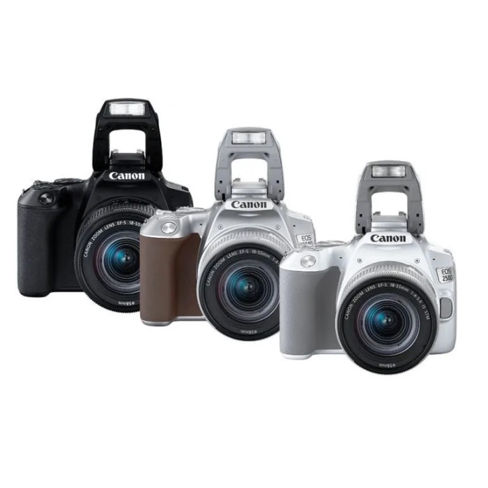 CANON EOS 250D+18-55 IS STM (NEGRA) CANON EOS 250D+18-55 IS STM (NEGRA)